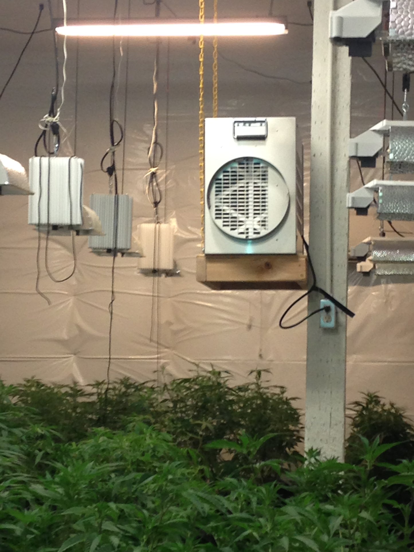 AgriAir Surface and Air Cleaner • Two PHI Generators 14" and 9" • #AA1000-3