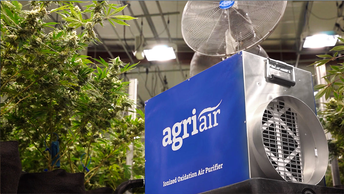 AgriAir Surface and Air Cleaner • Two PHI Generators 14" • #AA1000-3HO